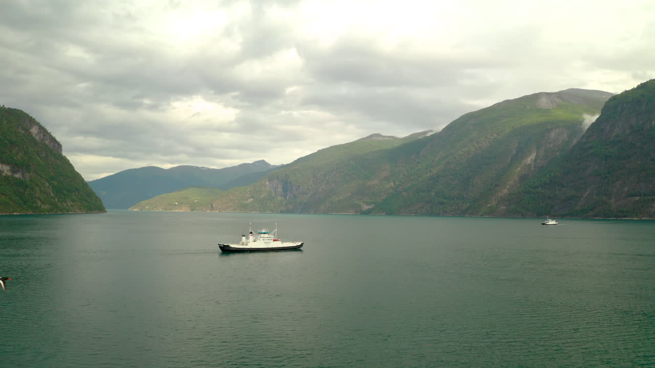 Loď plující po klidných vodách Geirangerfjordu v Møre a Romsdalu, Norsko, s ptákem letícím v popředí.