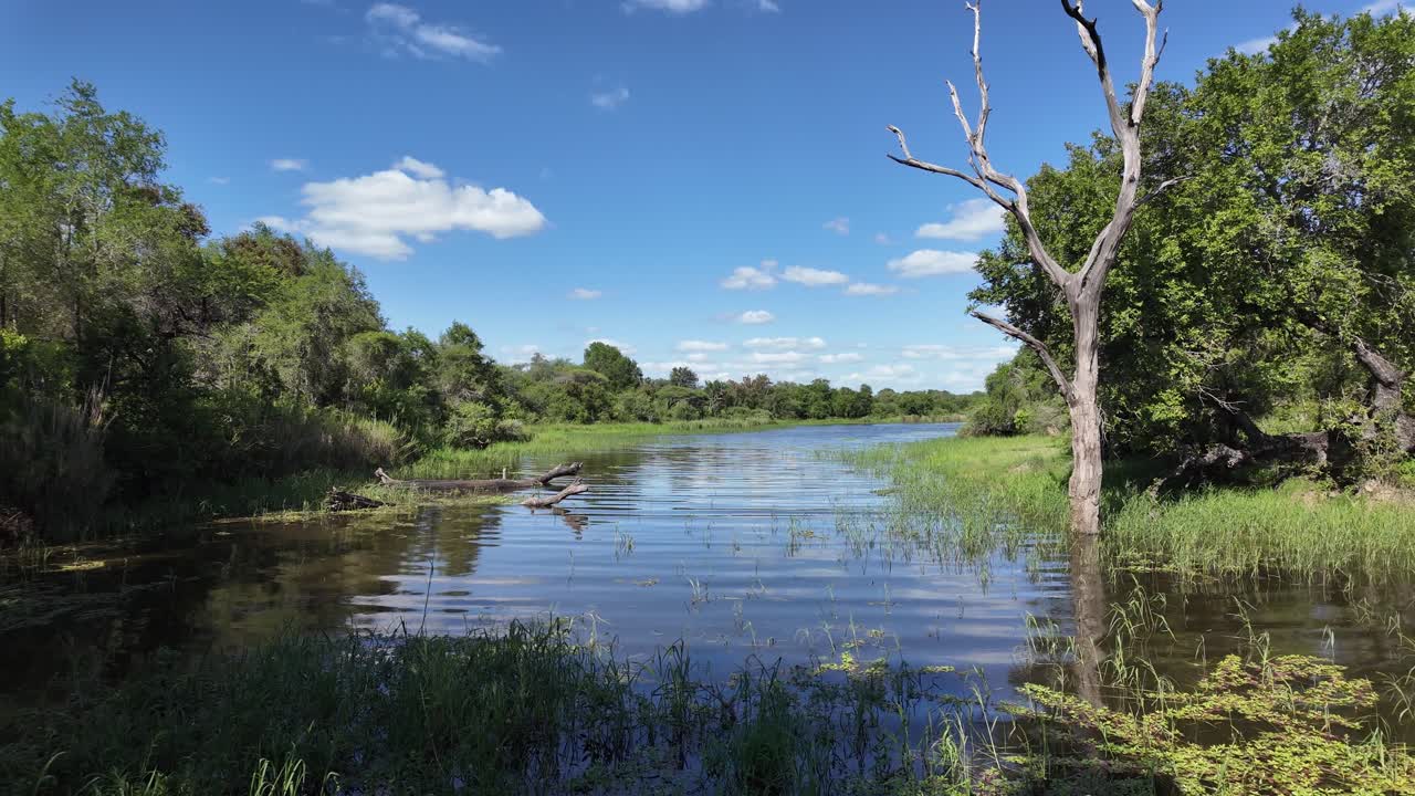 Scenic River Landscape with Trees and Blue Sky