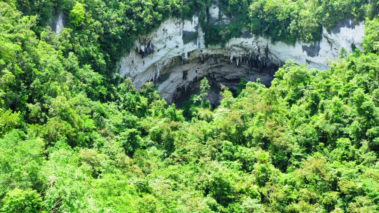 la cueva de langun gobingob en samar, filipinas, cubierta de bosque verde
