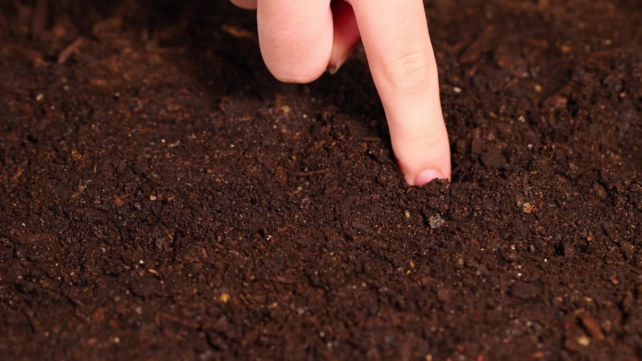 A hand pokes holes in rich, dark soil, preparing for seed planting. Close-up view with natural lighting
