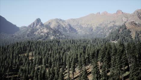 Atemberaubende-Aussicht-Auf-Die-Berge-Im-Norden-Kanadas-Im-Sommer