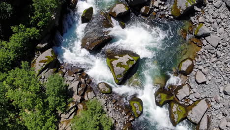 aerial view of river rapids with rocks and green trees