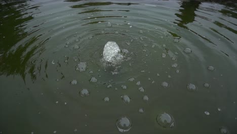 water bubbles in the lake