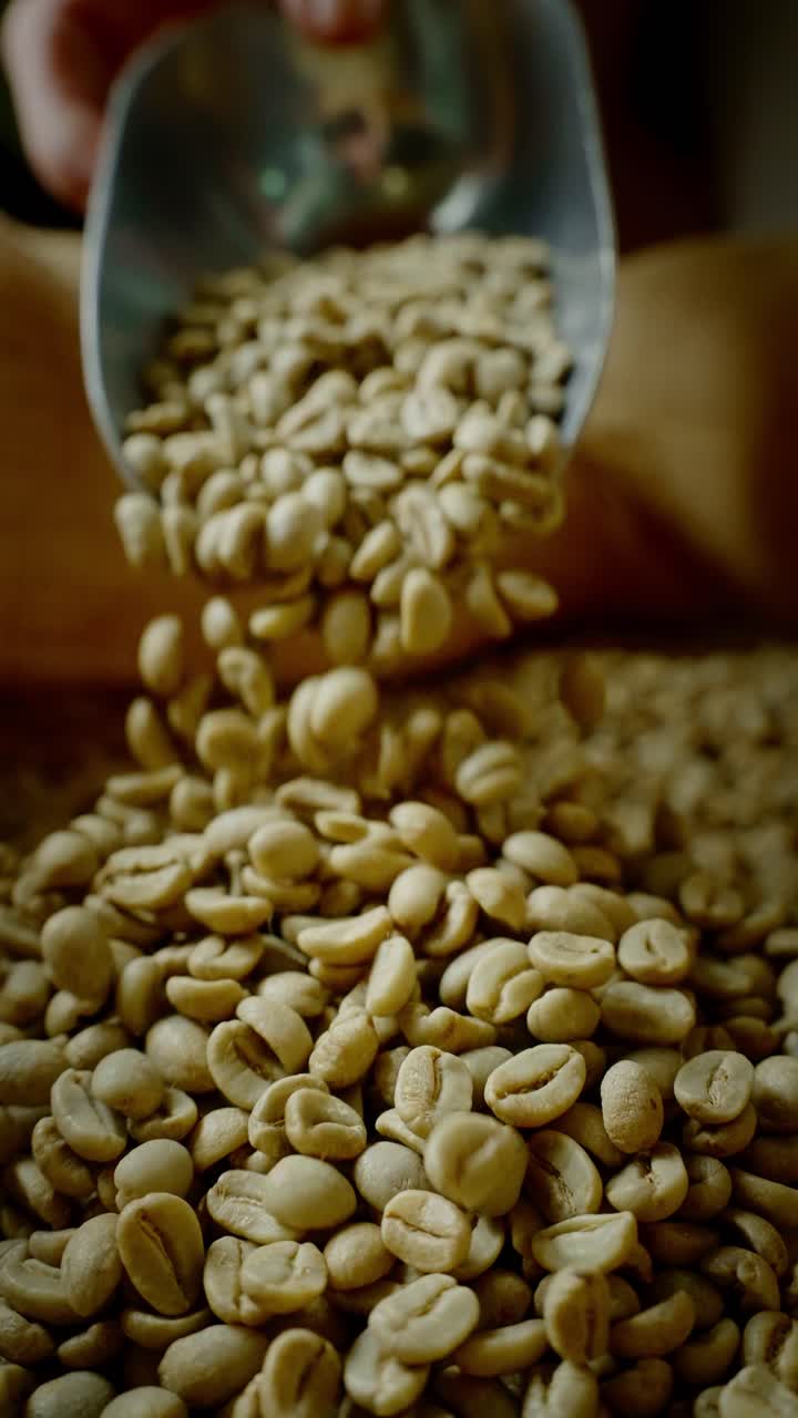 Green Coffee Beans Being Poured from a Scoop