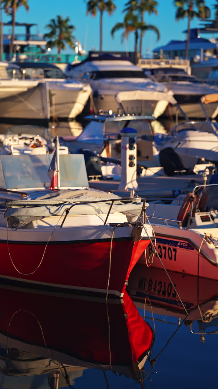 Juan-les-Pins, France - January 25, 2025: Multiple white boats docked in the Port Vauban, Antibes with palm trees on the background. Vertical