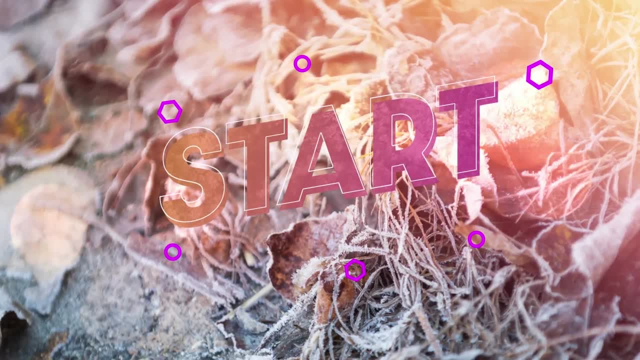 animación del texto de inicio sobre las plantas cubiertas de nieve