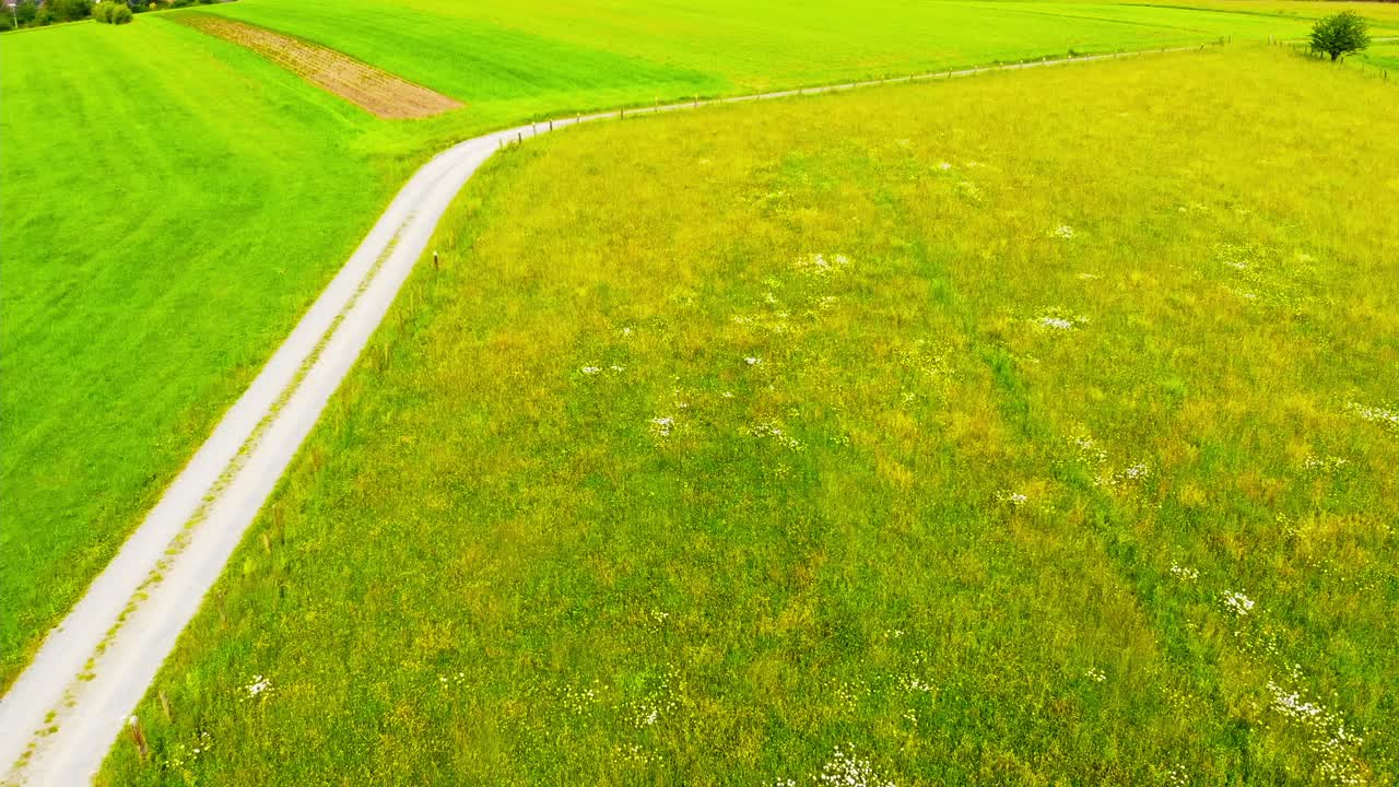 Aerial Drone View Of Lush Green Summer Fields