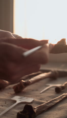 archaeologist cleaning a fossil