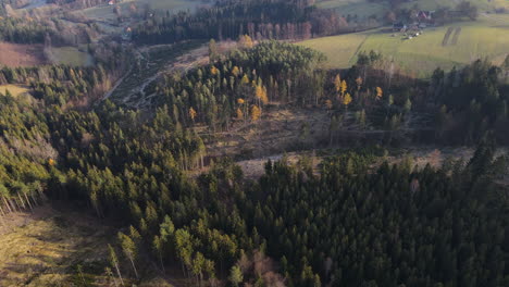 Aerial-view-of-the-forest-in-the-middle-of-a-mountainous-landscape-flooded-with-fine-fog