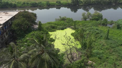 dirty pond view from top - ak
