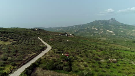 panoramic view over farmlands in sicily with orange- and olive groves