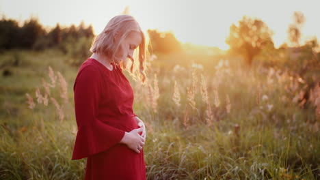 Pregnant-Woman-Walking-On-A-Meadow-In-Sunset-6