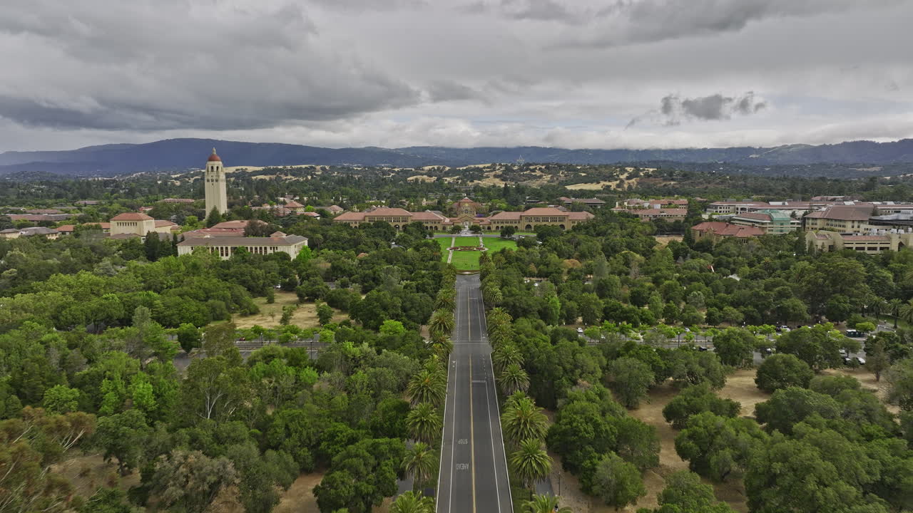 Stanford City California Aerial v8 establishing low level flying straight above palm drive, flyover entrance oval lawn and main building of the university campus - Shot with Mavic 3 Cine - June 2022