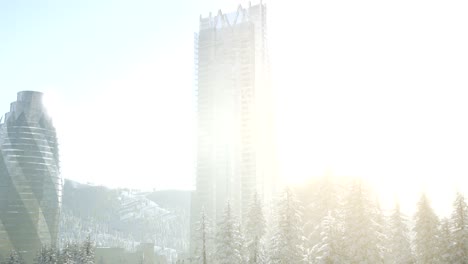 city and forest in snow