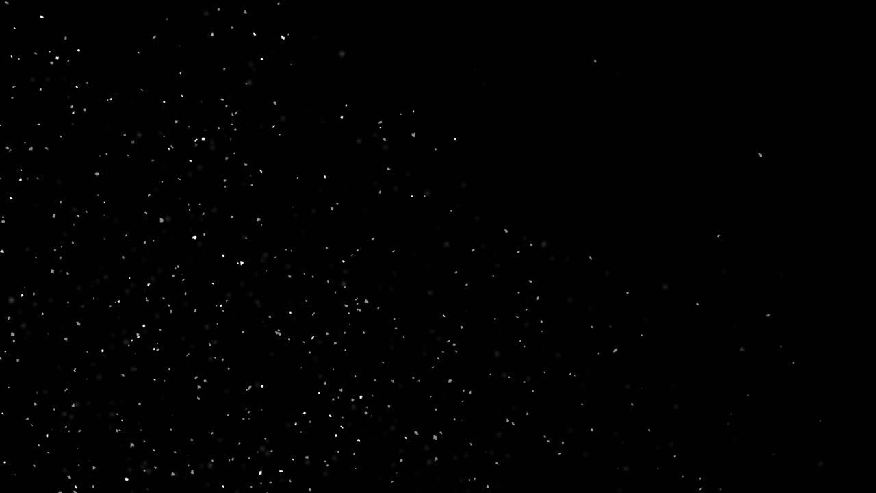 Falling Snow Particles