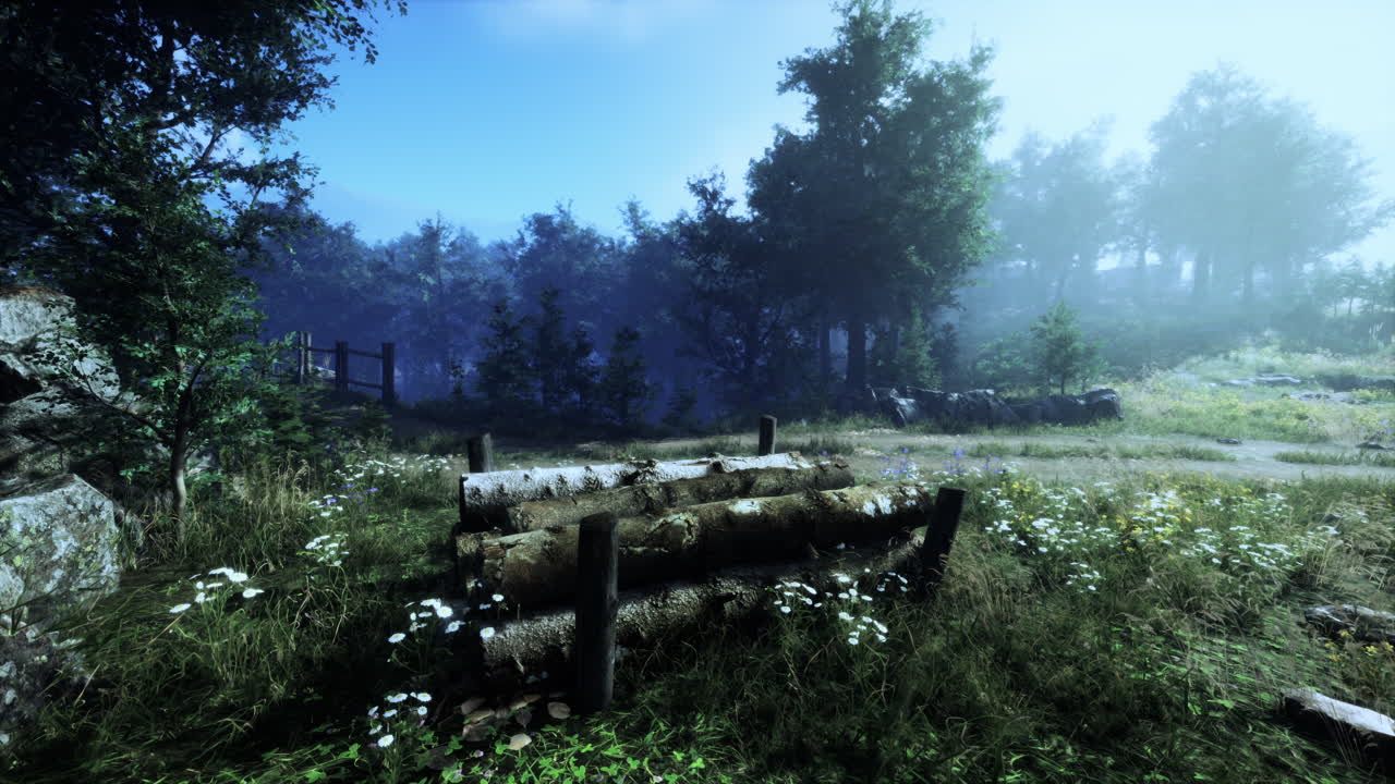 туманная лесная тропа с кучей древесины