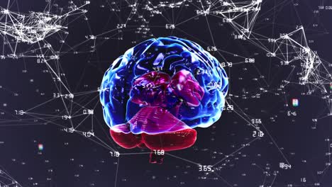 animación de un cerebro humano brillante con redes de conexiones de interfaz digital