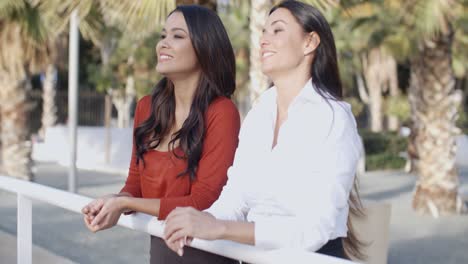 mujeres jóvenes charlando en un parque urbano tropical