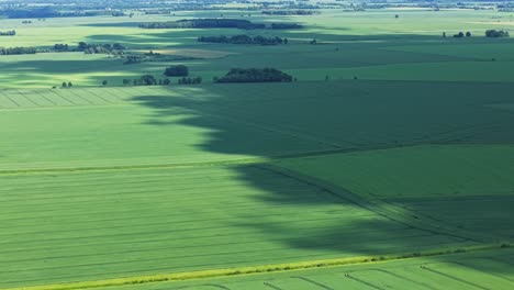 aerial view of vast green fields of growing grain with dramatic cloud shadows cast across the landscape, under a bright,