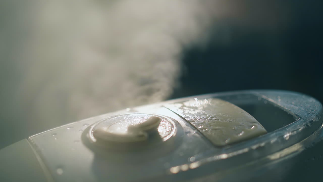 공기 이온화기 집에서 실내 공기를 습화하는 데 사용되는 습한 증기