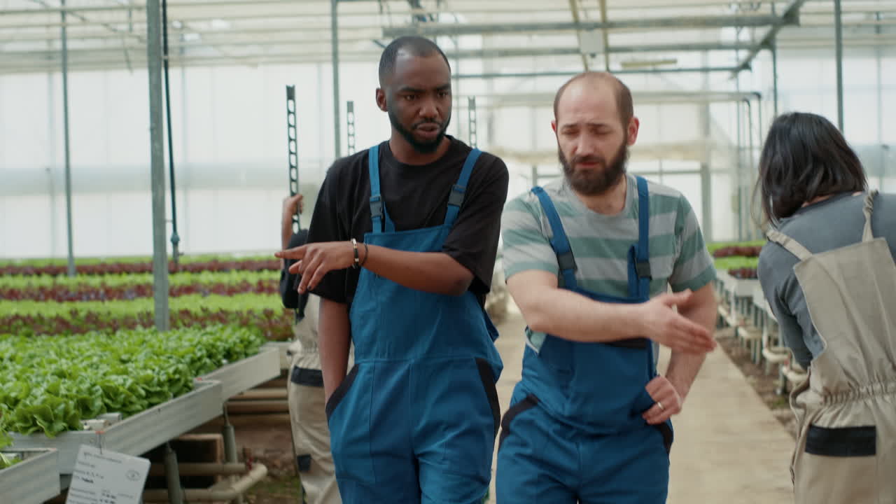 personas que trabajan en un invernadero