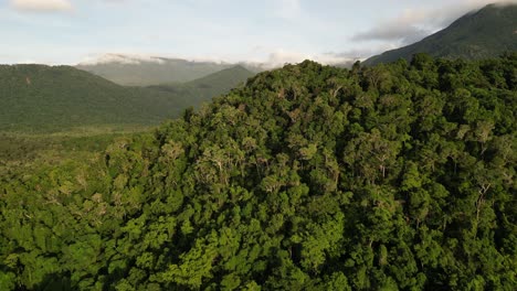 the beautiful cape hillsborough in qld, australia