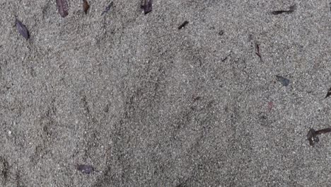 A person walks along a sandy path, capturing the rhythmic movement of footsteps in a natural setting