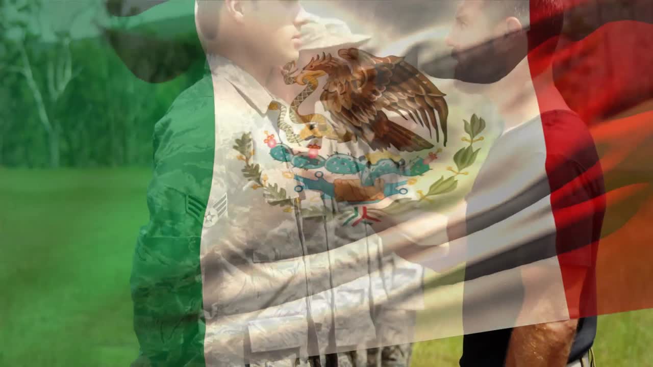 다양한 남성 군인 위에 에 ⁇ 도르  ⁇ 발의 애니메이션