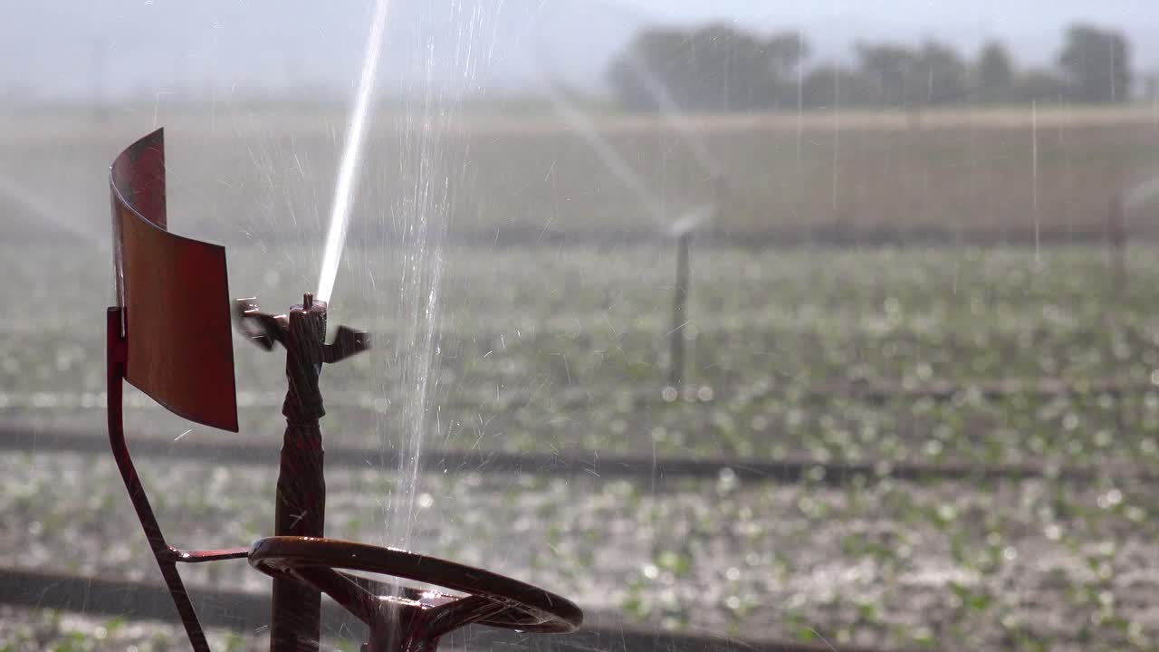 los rociadores riegan los campos agrícolas con agua en california durante una época de sequedad y sequía