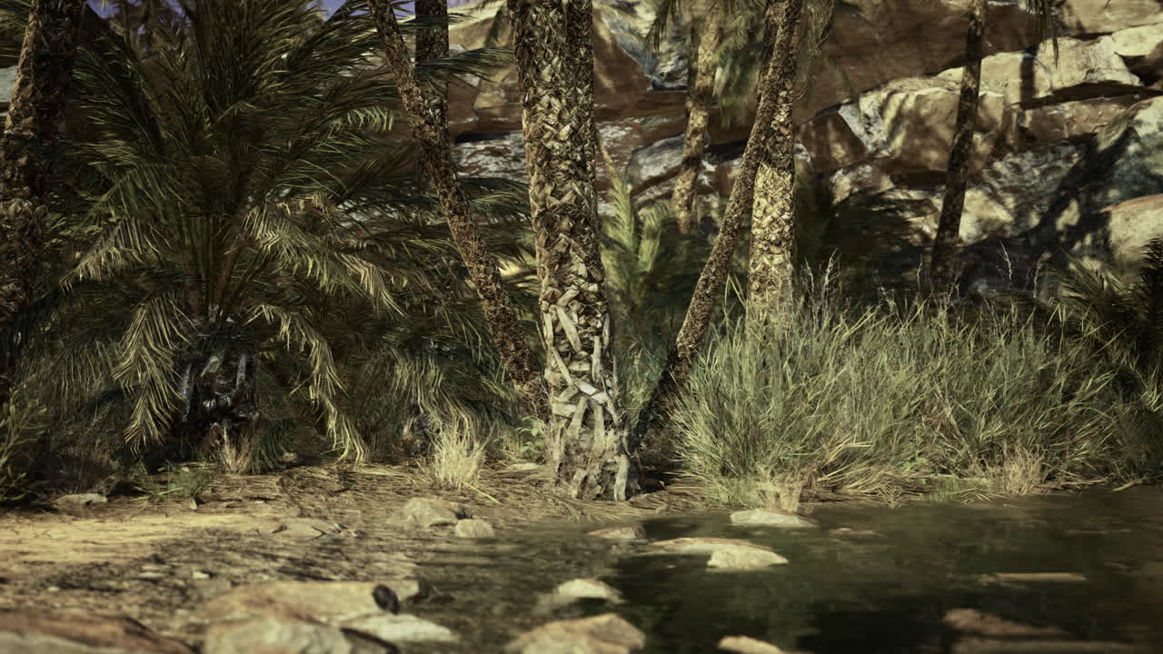 Palm trees and lush vegetation near a serene water body in a natural setting