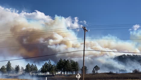 Hierba-Quemada,-Bosque-Y-Humo-Espeso-De-Incendios-Forestales-En-Un-Día-Soleado-Y-Ventoso