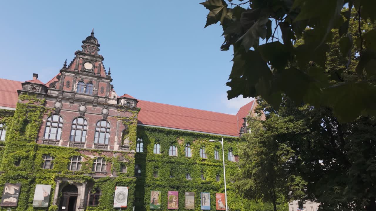 The National Museum in Wroclaw, Poland, features a stunning historic facade covered in lush green ivy, set against a clear blue sky. Pan Left Shot