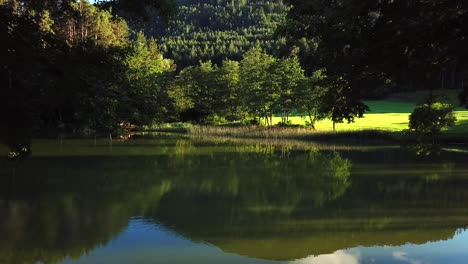 Aerial-view-of-a-hidden-pond-surrounded-by-trees-on-an-Austrian-mountain-valley,-on-a-sunny-day