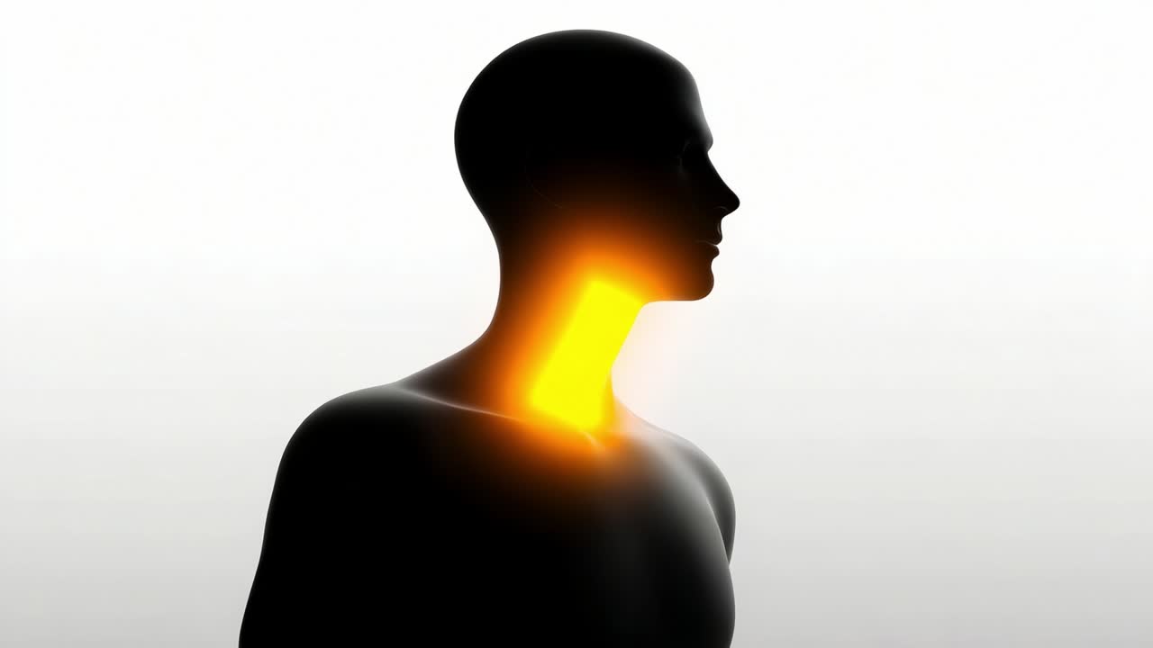 Visualization of the Human Neck Region: A Silhouette Illustration Optimizing Awareness of the Neck's Anatomical Features and Interior Elements Highlighted by a Luminescent Glow