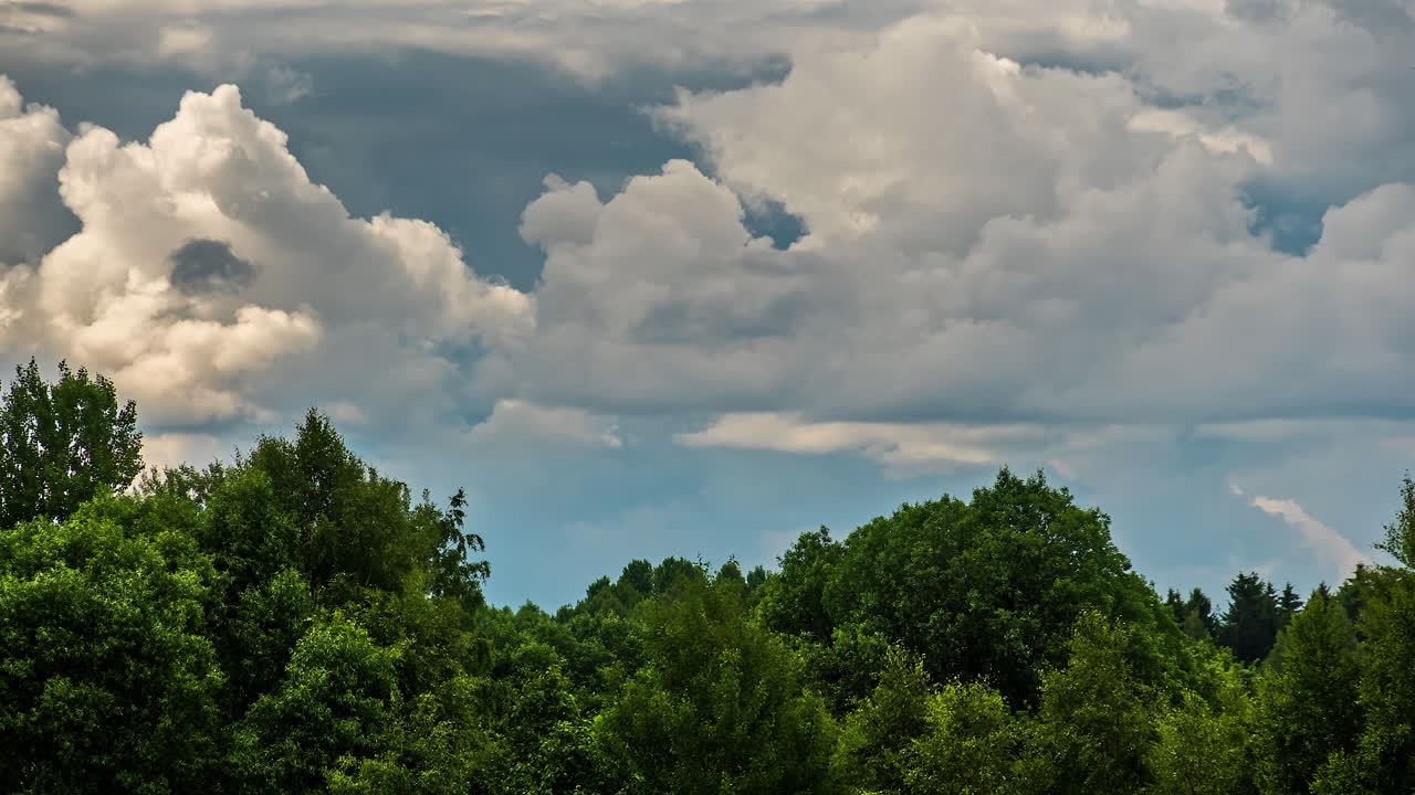 un lapso de tiempo de nubes gigantes que se transforman y se mueven sobre el bosque