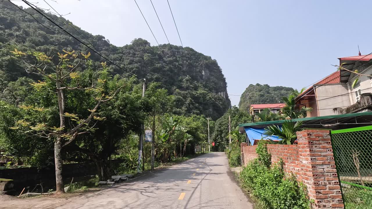 울창한 초록색으로 둘러싸인 평화로운 길