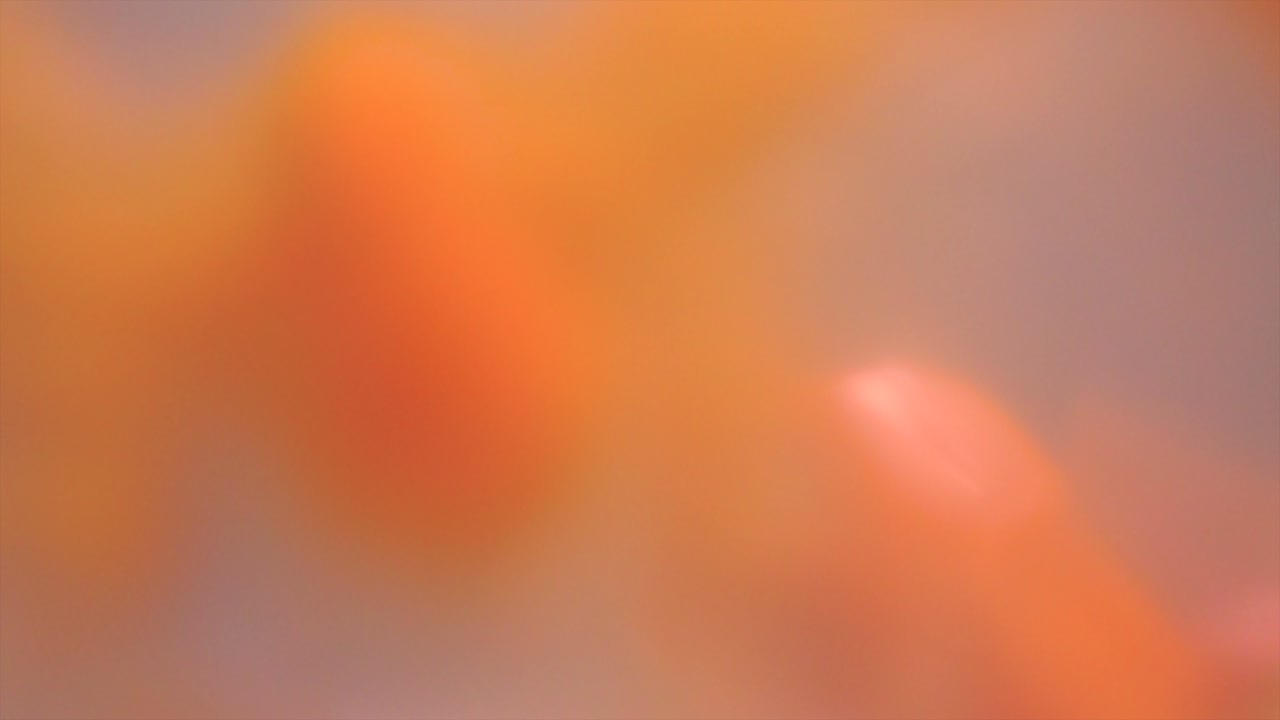 persona derramando jugo de zanahoria de vidrio