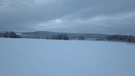 The-frozen-lake-and-forest-near-Borgvattnet,-Sweden