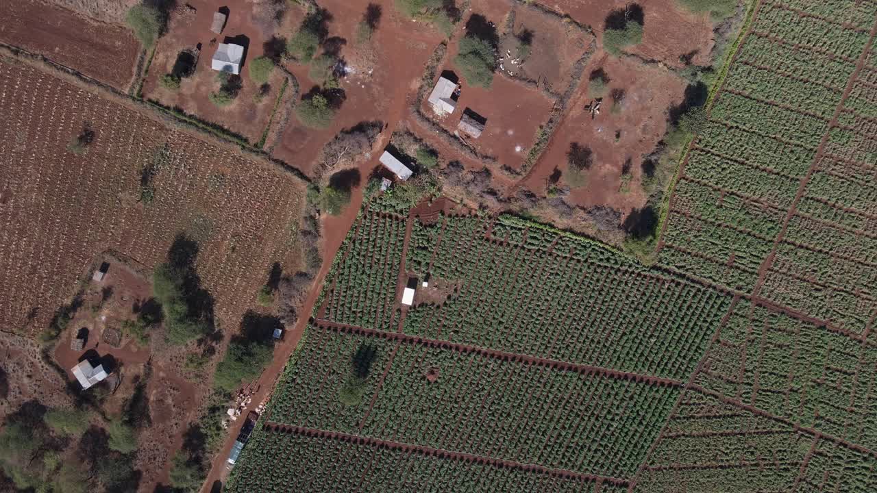 케냐 남부의 아프리카 사바나에서 지속 가능한 농업, 위에서 아래로