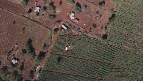 sustainable farming on african savanna in southern kenya, aerial top down