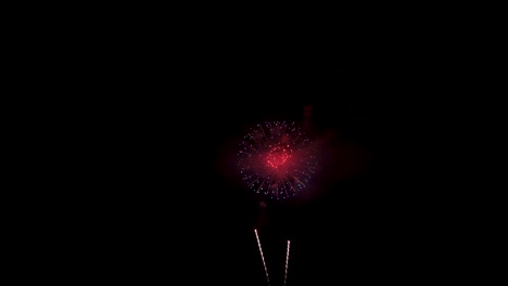 4th of july fireworks on night sky - low angle shot