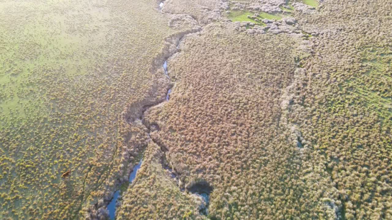 volando sobre un arroyo que se une a un lago, con pájaros volando sobre el agua durante la puesta de sol, uruguay