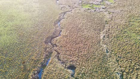 flying over a creek that joins a lake, with birds flying over the water during sunset, uruguay