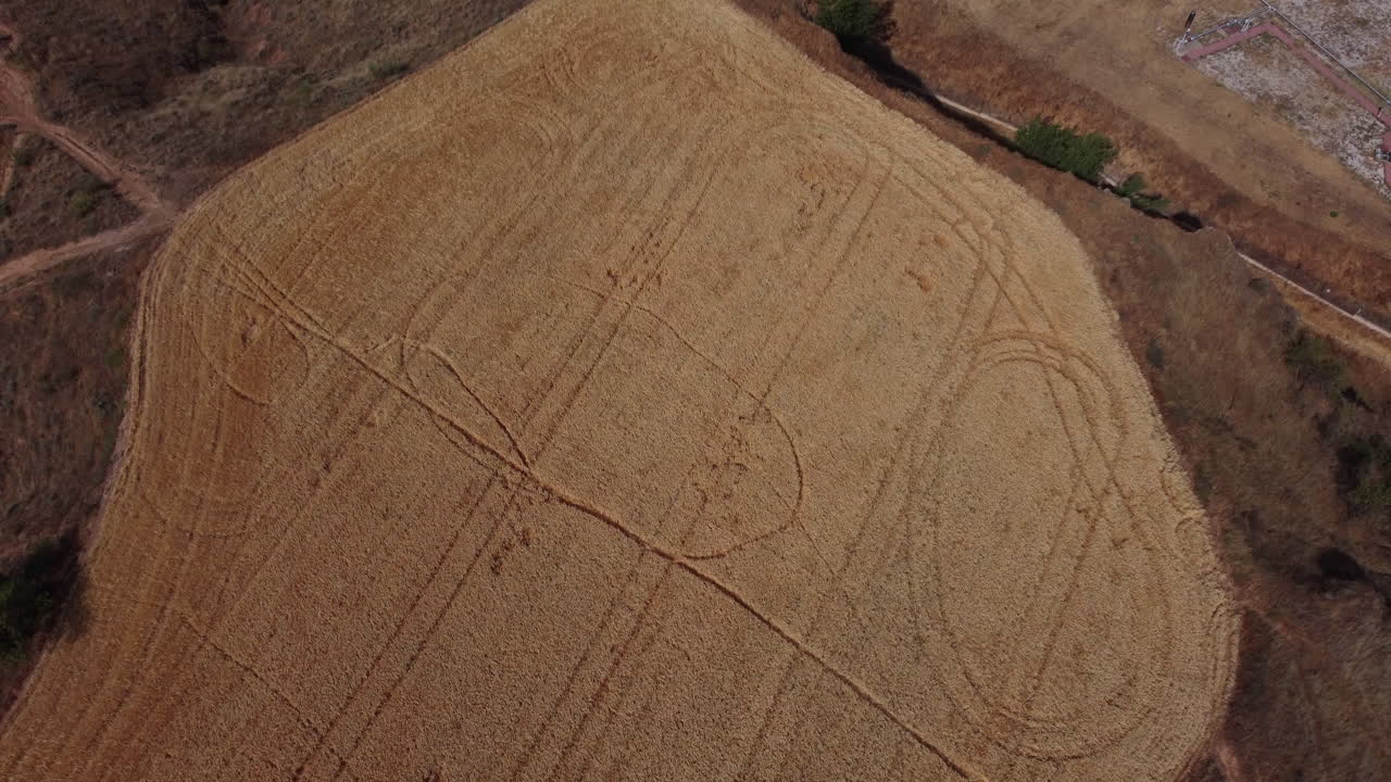 vista aérea de un campo de trigo con círculos de cosecha