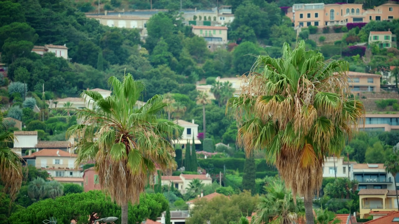 Palme in primo piano con ville residenziali che punteggiano una lussureggiante collina verde, a mostrare l'architettura mediterranea e uno stile di vita da vacanza tropicale