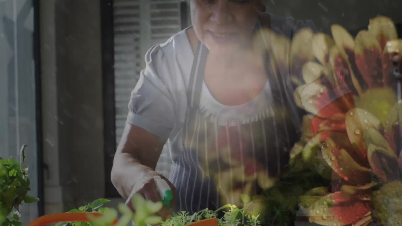 animación de una mujer biracial mayor regando plantas sobre hojas