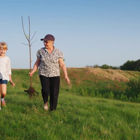 Eine-ältere-Frau-Mit-Einer-Enkelin-Von-6-Jahren-Wird-Einen-Baum-Pflanzen