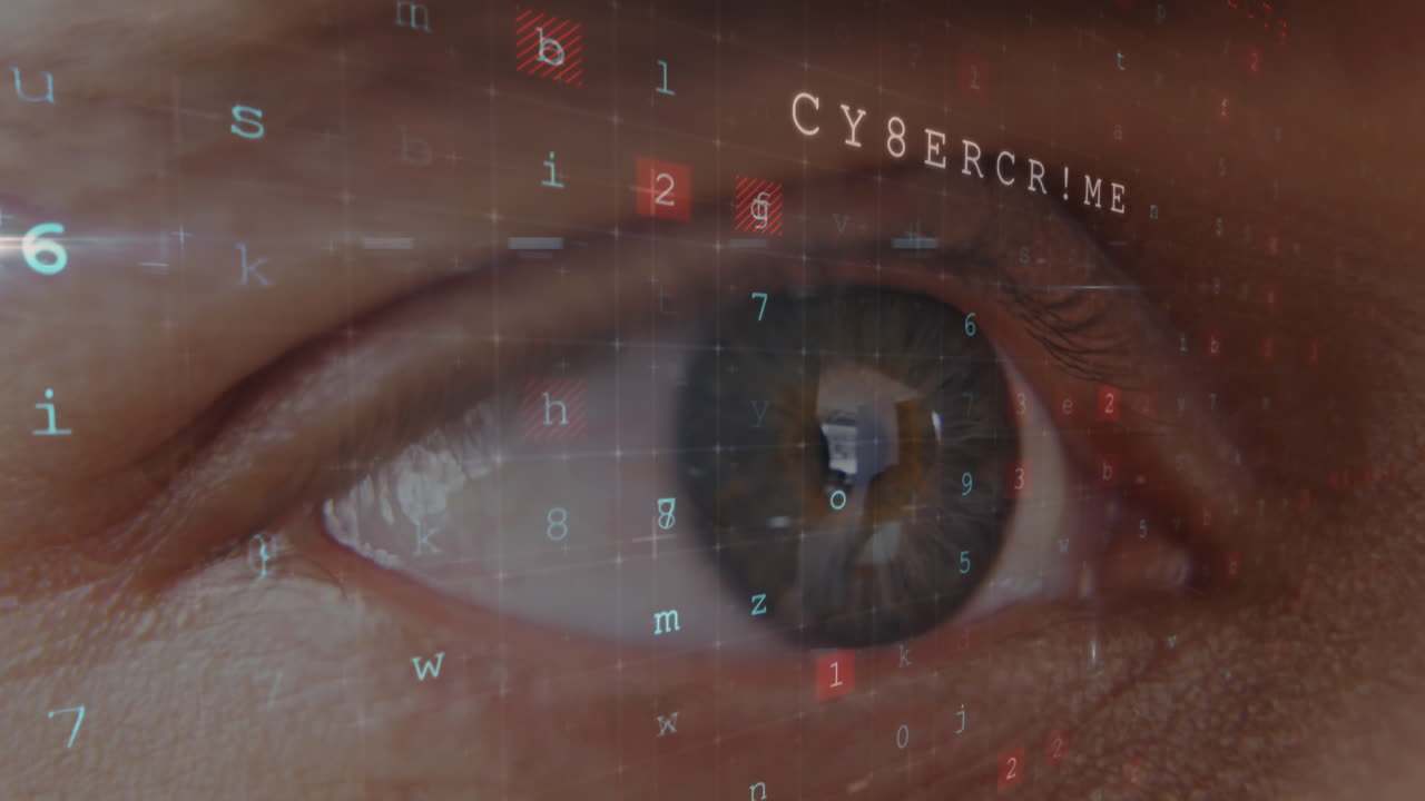 I hackerens øye 4k
