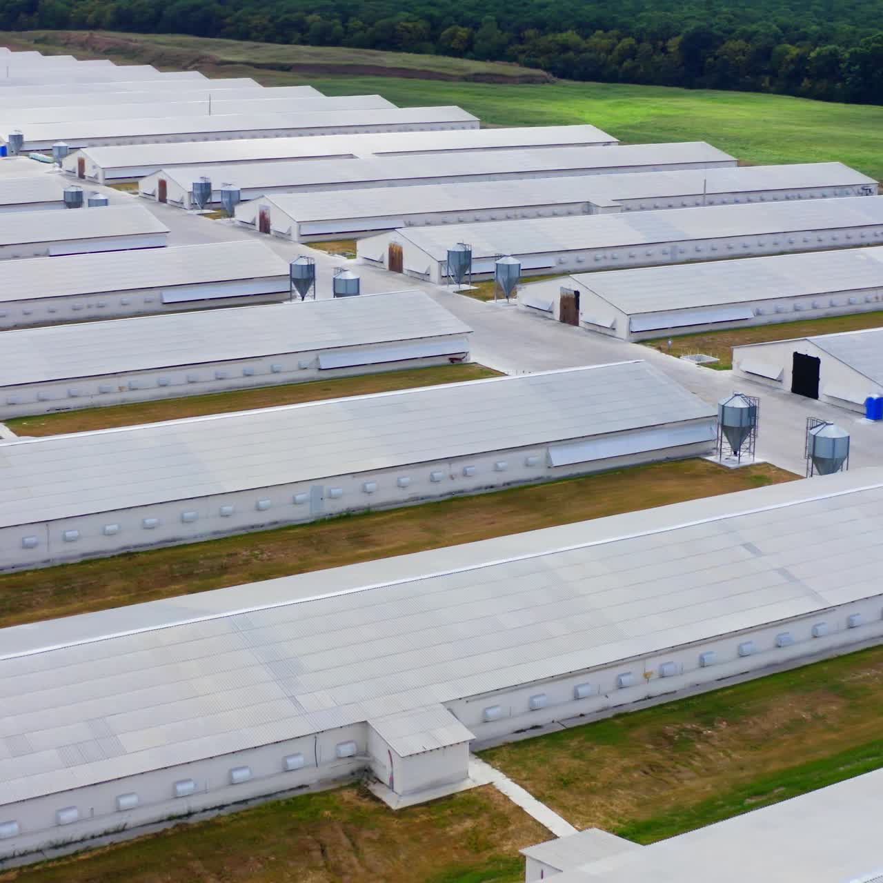 Farm buildings on field. Modern agriculture on a meadow. Flying over large barns surrounded by nature. Aerial view