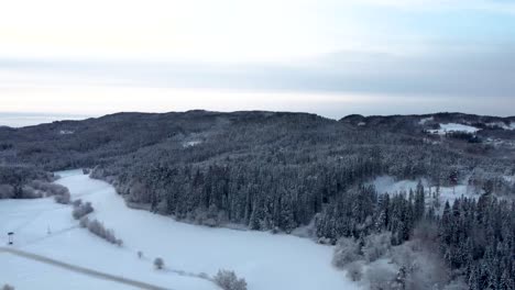 Durchqueren-Sie-Den-Bezaubernden,-Schneebedeckten-Wald,-In-Dem-Jeder-Ast-Zart-Mit-Einer-Unberührten-Schneeschicht-Geschmückt-Ist-Und-Eine-Magische-Atmosphäre-Schafft,-Die-Sie-In-Ein-Reich-Der-Ruhe-Entführt